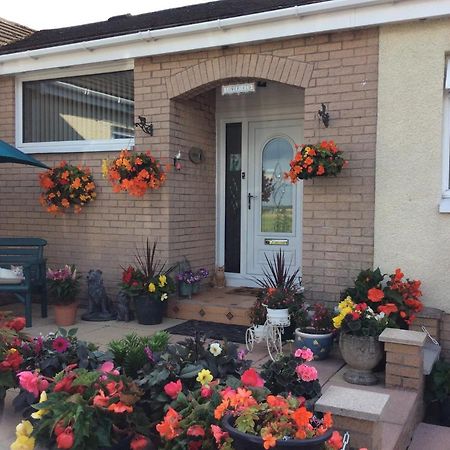 Lowefield B&B Stirling Ngoại thất bức ảnh